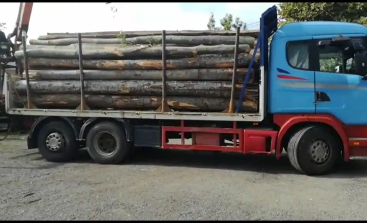 Un camion cu lemne a fost confiscat. Şoferul a  comis mai multe infracţiuni