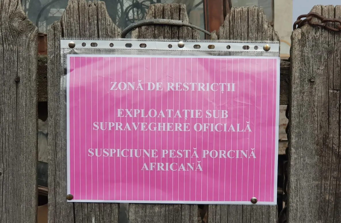 Măsuri ce vor fi luate de autorităţile din Argeş după confirmarea PPA