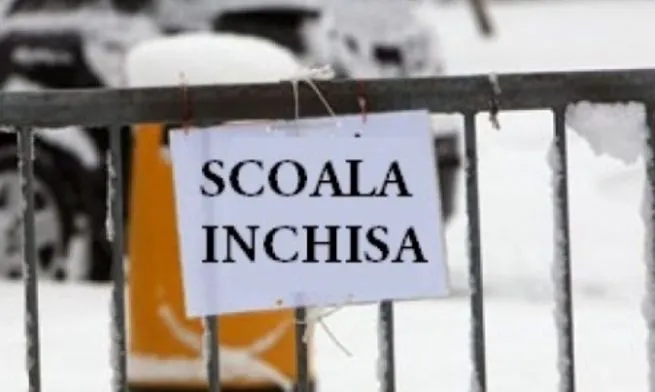 Şcolile vor fi închise, din cauza gripei! Ministrul a emis un ordin