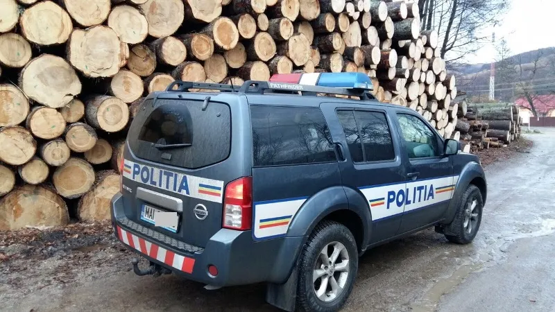 Societate de prelucrare a lemnului,  din Sălătrucu, amendată de poliţişti