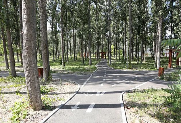 Parcuri noi în Pitești! Sunt prevăzute spații de picnic și tiroliane