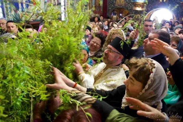 Duminica Floriilor la ortodocși! Ce trebuie să faci cu ramurile de salcie