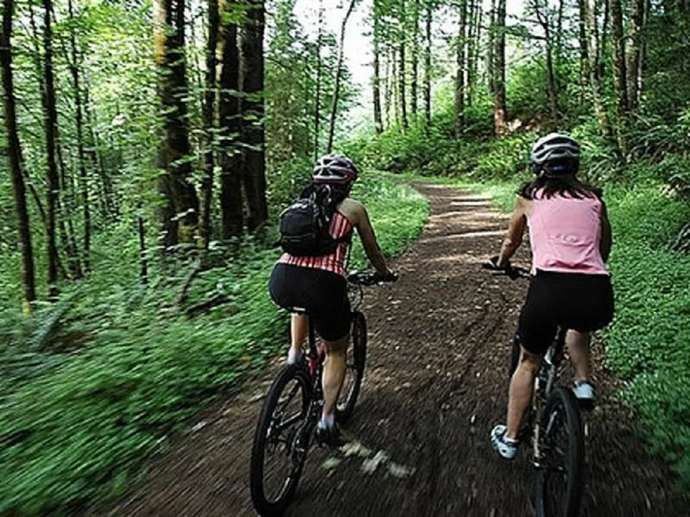 Piste de biciclete și alei pietonale prin Pădurea Trivale