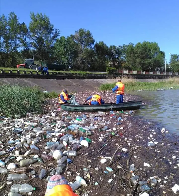 Viitura de gunoaie de la Micești! Peste 12 mc de deşeuri au fost colectate