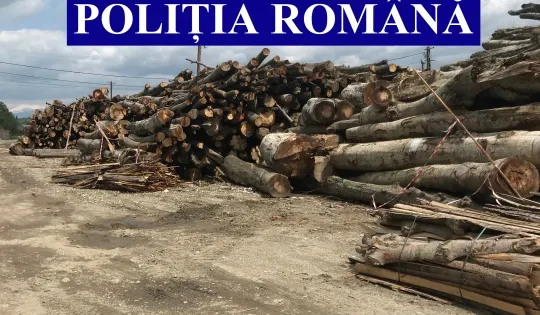 Depozitase lemne pe calea ferată de manevră, în Argeş