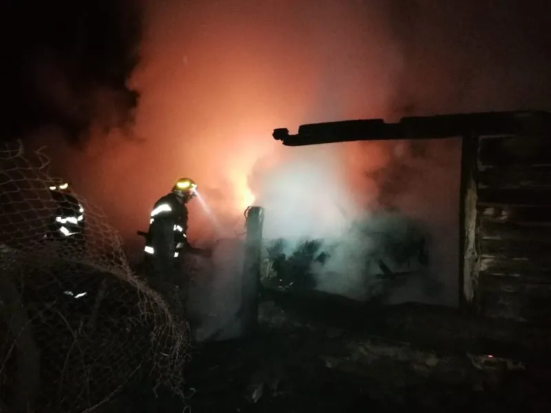 O bovină și mai multe tone de furaje au ars în urma unui incendiu izbucnit la un adăpost de animale