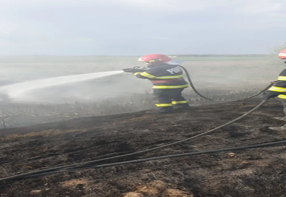 VIDEO-Arde un canal cu reziduuri la km 102 pe A1