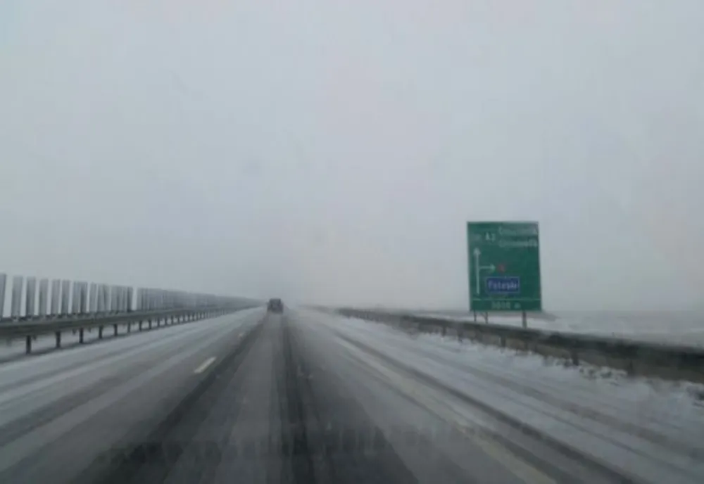 Guvernul alocă peste 6 milioane de lei pentru înfiinţarea perdelor forestiere de protecţie pe Autostrada A2 și pe DN 2B
