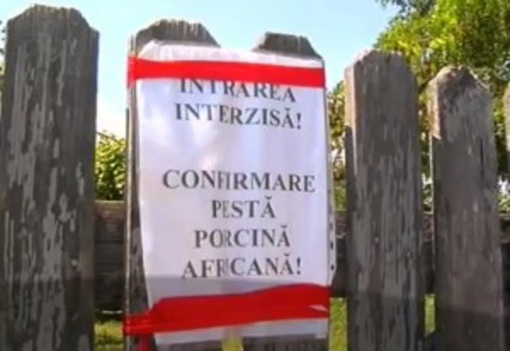 Focare active de pestă porcină africană în Argeș