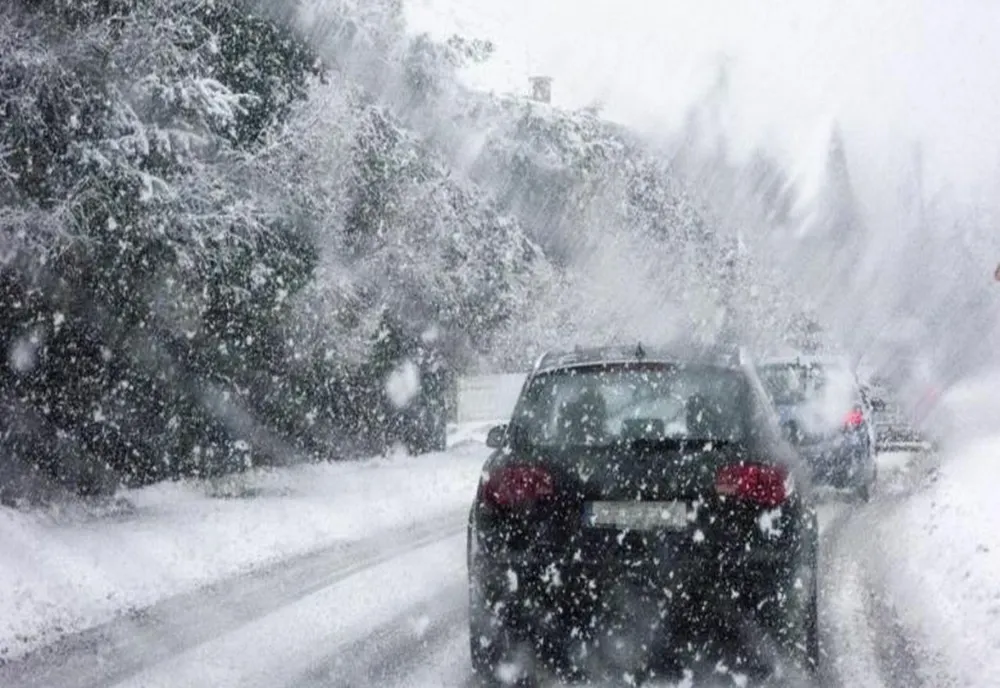Ninge abundent pe DN 73, zona Rucăr- Bran