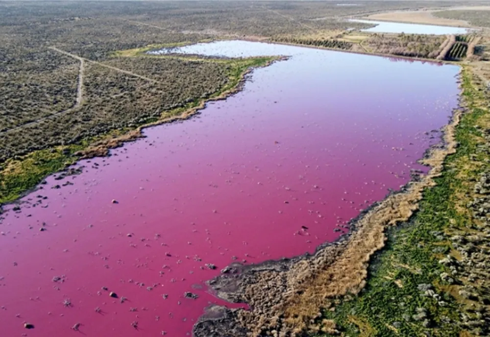 Un lac a devenit roz. Panică în rândul locuitorilor