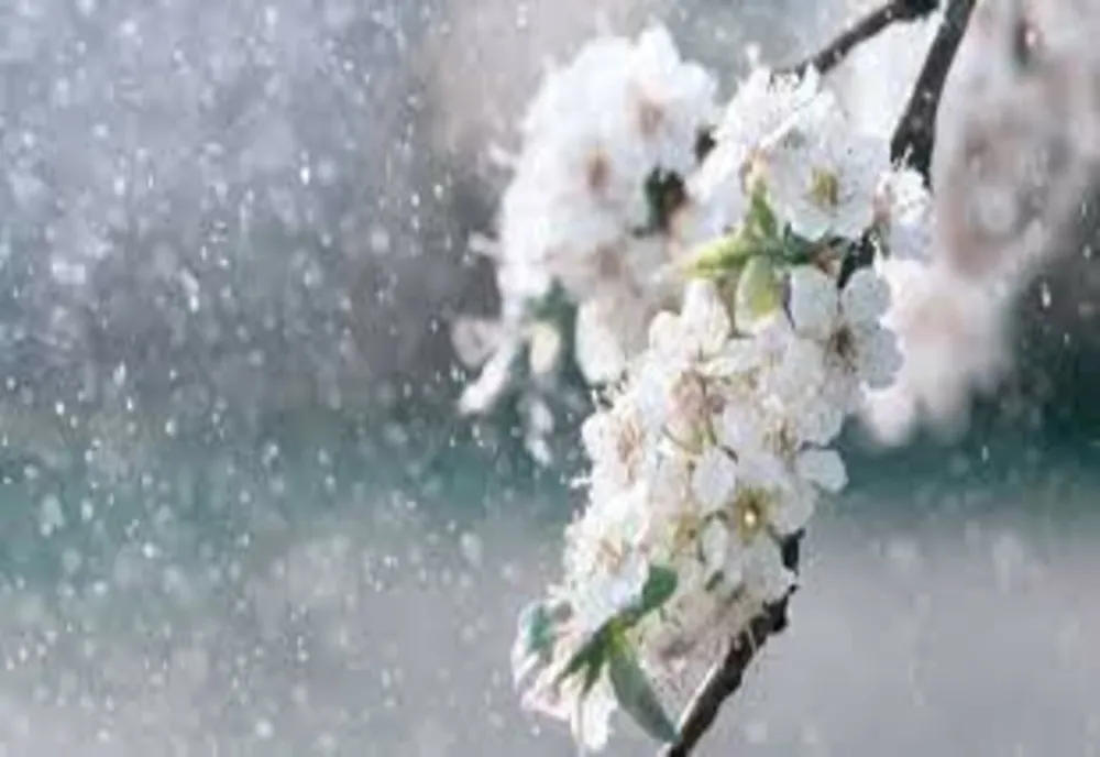 Meteo| Astăzi vremea se schimbă față de ziua anterioară