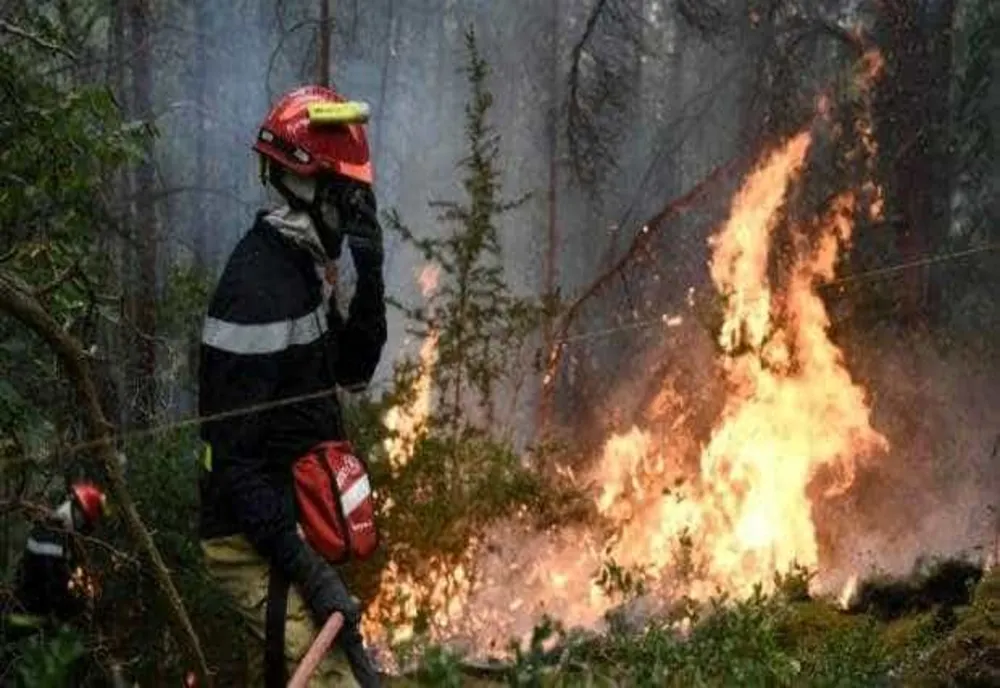 INCENDII DE VEGETAȚIE ÎN JUDEȚUL ARGEȘ: MII DE METRI PĂTRAȚI MISTUIȚI DE FOC