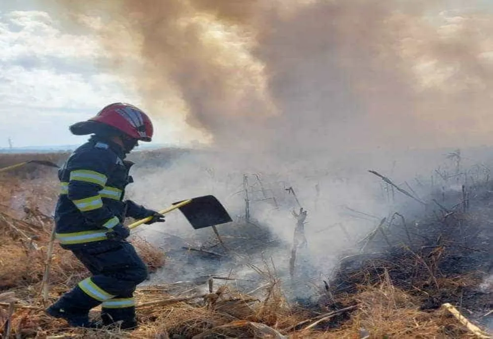 14 INCENDII DEVASTATOARE ÎN ARGEȘ: POMPIERII INTERVIN ÎN FORȚĂ