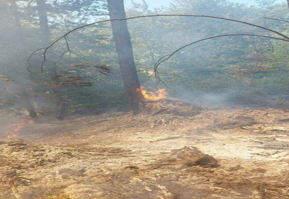 Intervenții ample ale pompierilor argeșeni pentru stingerea incendiilor de vegetație
