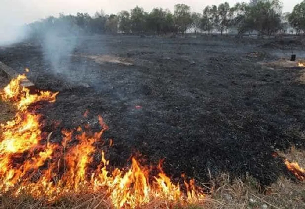 INCENDII ÎN ARGEȘ: Pompierii au intervenit la cinci incendii care au afectat o suprafață de 16.200 mp