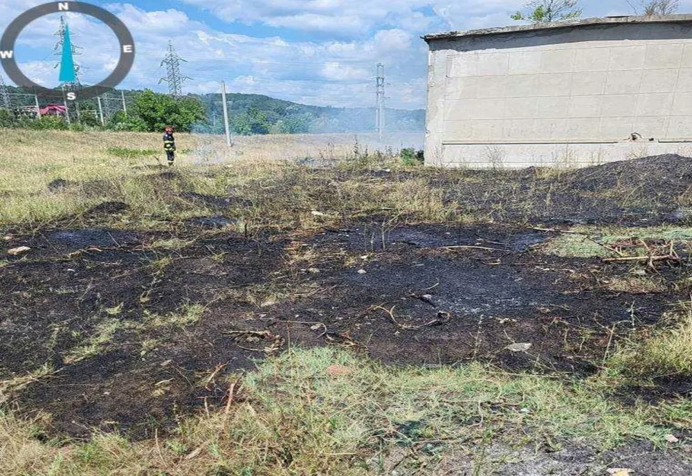 ACȚIUNE DE URGENȚĂ ÎN ARGEȘ: POMPIERII INTERVIN PENTRU STINGEA PATRU INCENDII DE VEGETAȚIE ȘI UN LAN DE PORUMB
