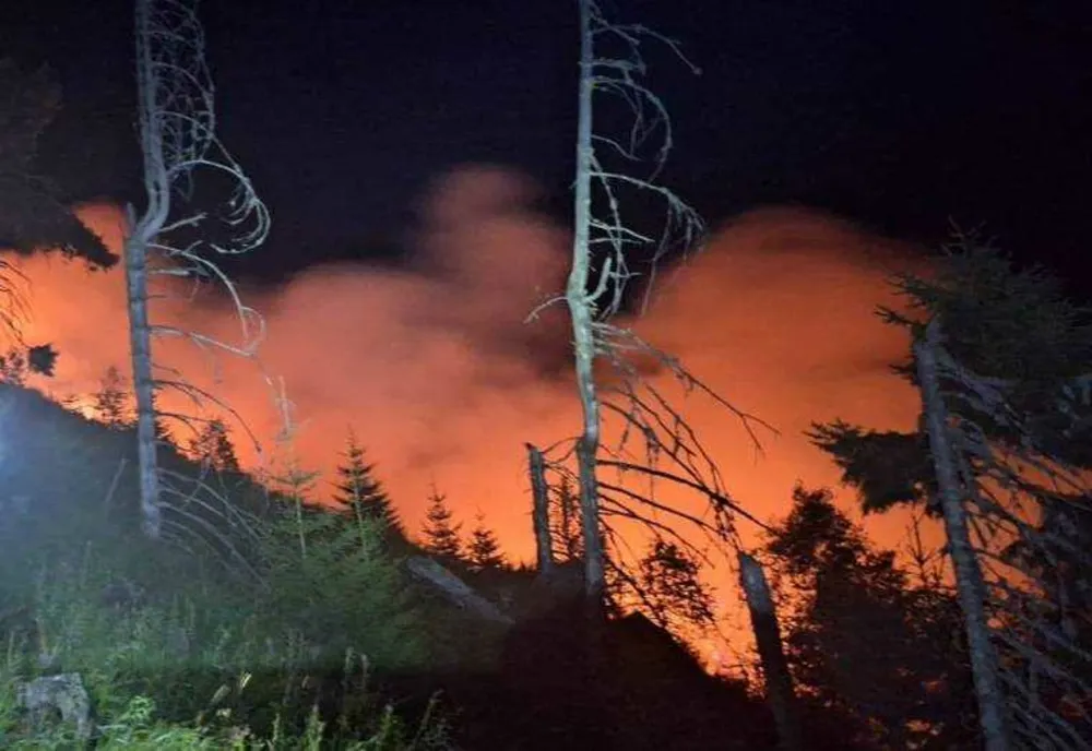 INCENDIU ÎNTR-O PĂDURE DIN SĂTIC, ARGEȘ