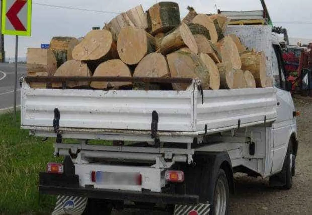 CONDUCEA O AUTOUTILITARĂ CU MATERIAL LEMNOS FĂRĂ ACTE, AMENDĂ DE 1.000 DE LEI