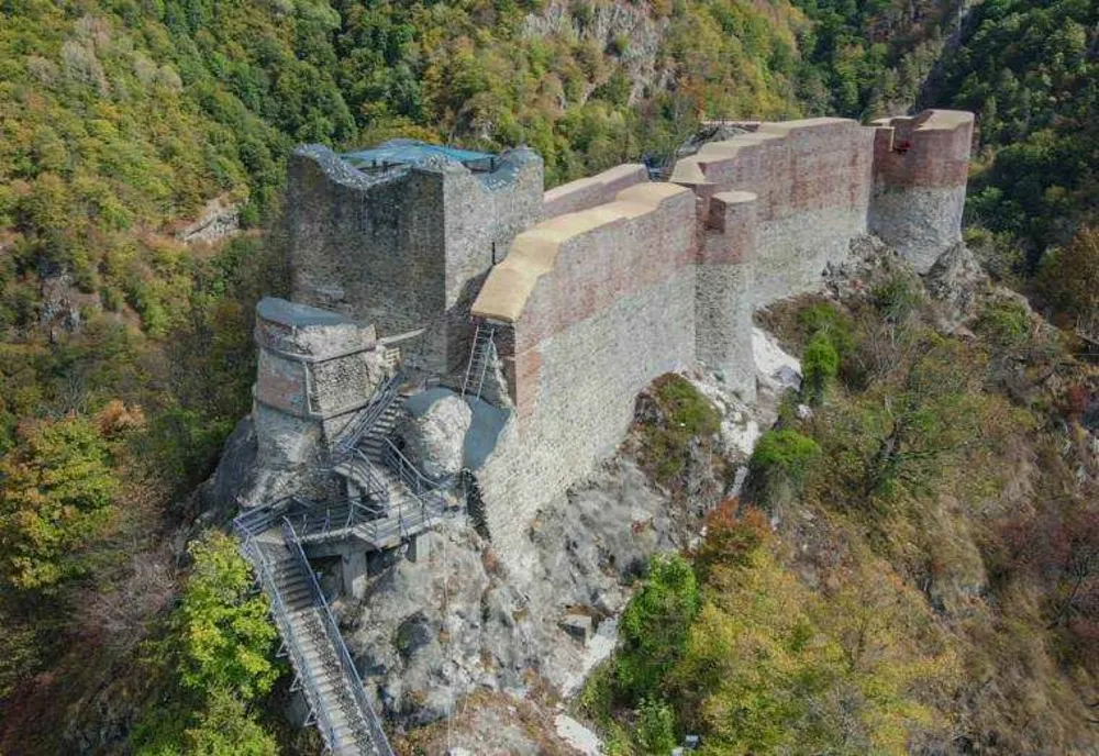 REDESCHIDEREA CETĂȚII POIENARI: PLANURI PENTRU VIITOR
