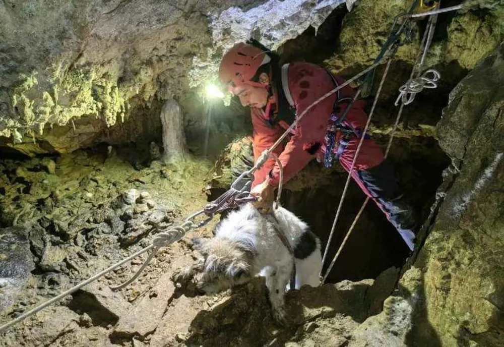 DRAMA ÎN PEŞTERA MEZIAD: Căţelul Bobiţă salvat din adâncuri de salvamontiştii bihoreni
