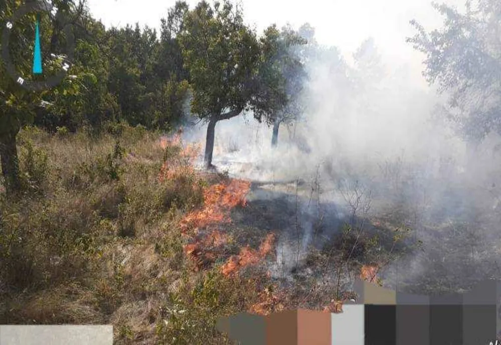 INCENDII DE VEGETAȚIE ÎN ARGEȘ: POMPIERII INTERVENIND PENTRU STINGERE