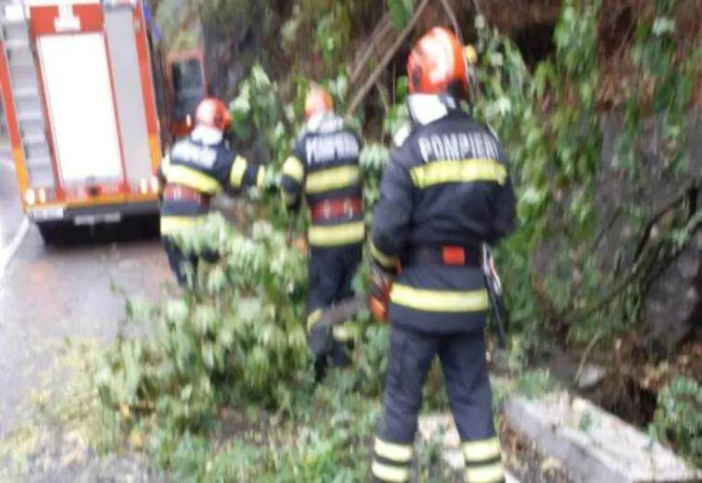 VALEA OLTULUI BLOCATĂ LA CĂLIMĂNEȘTI DIN CAUZA UNUI COPAC DOBORÂT DE VÂNT