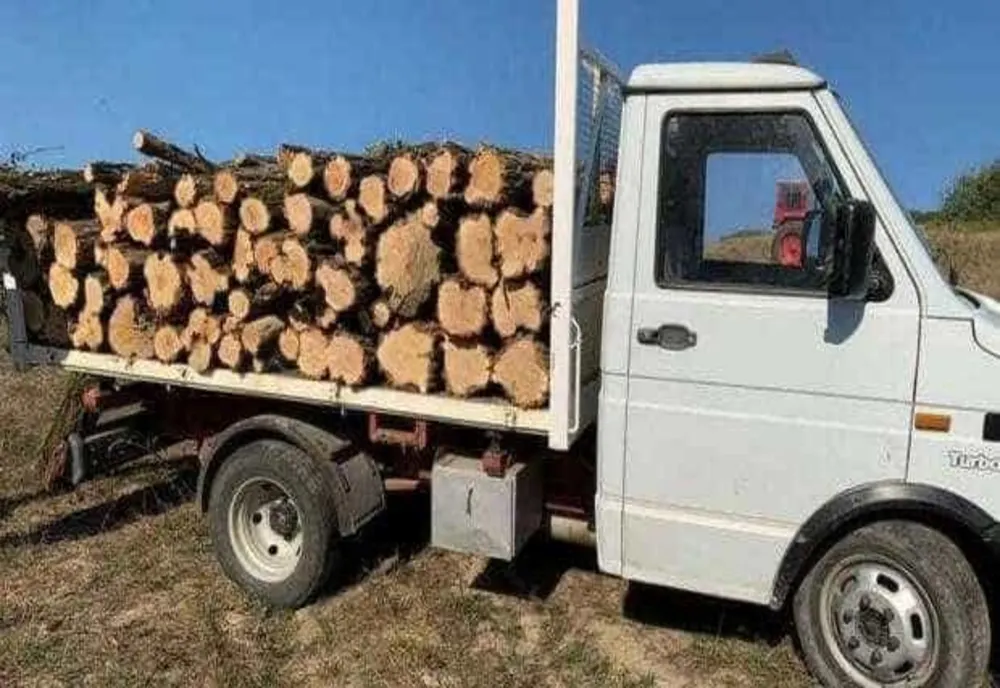Încă un Delict Silvic Sancționat în Argeș