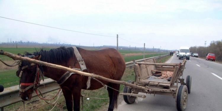 A furat un cal cu căruță cu tot...ca să mănânce mici! A ajuns în arest
