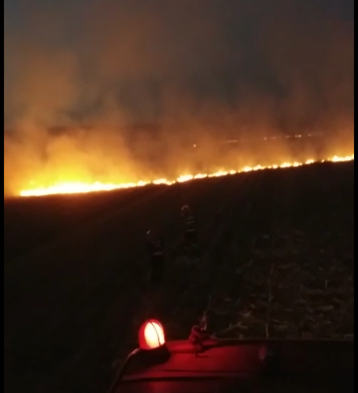 Incendiu de vegetație uscată la Costești! 50 de pomi fructiferi, afectați