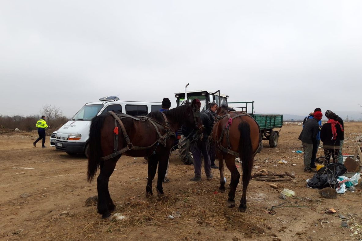 Căruţe confiscate de poliţiştii locali! Circulau ilegal prin Piteşti!