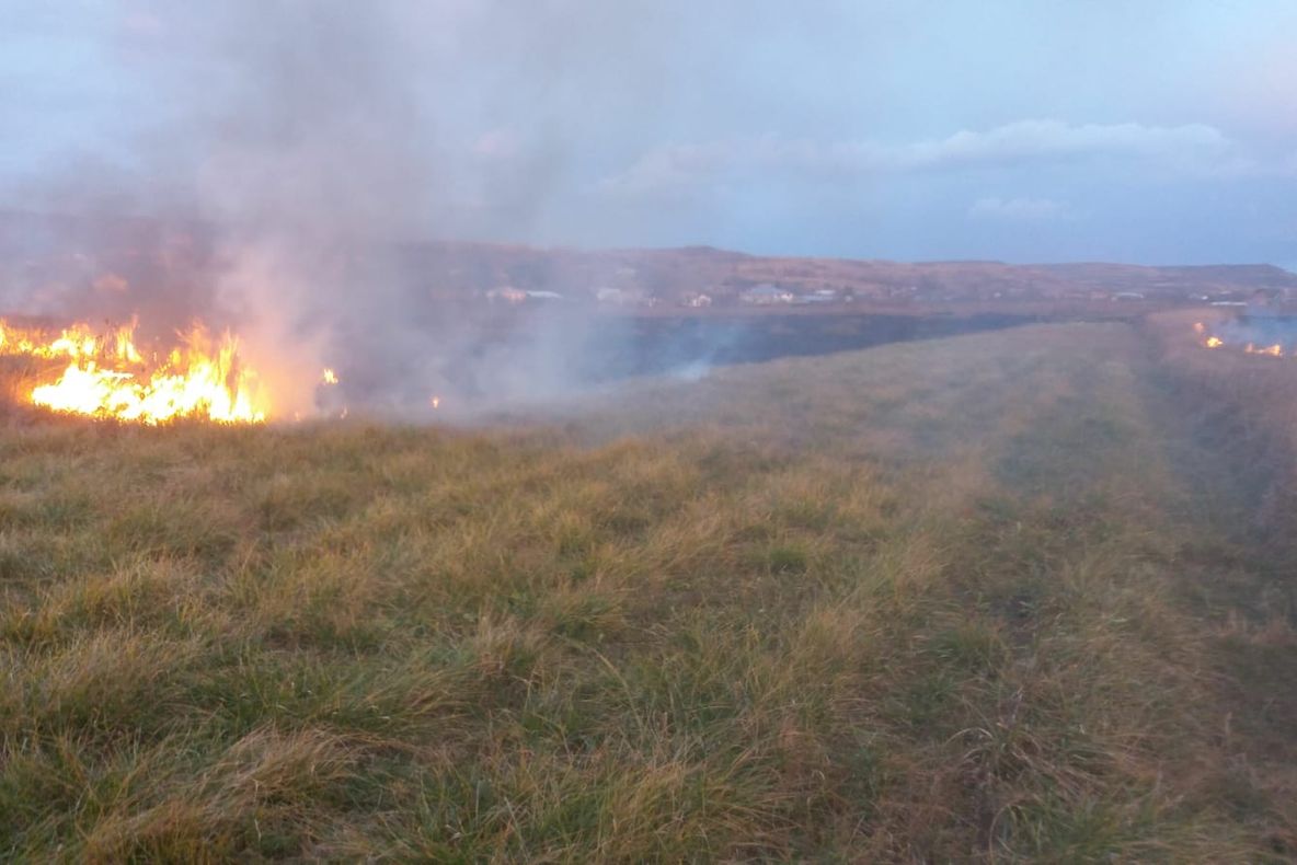 VIDEO! Incendiu de vegetație la Călinești