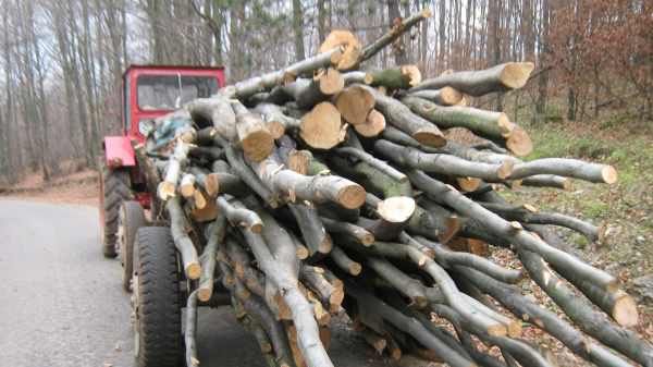 Depistați în timp ce transportau lemne ilegal cu tractorul