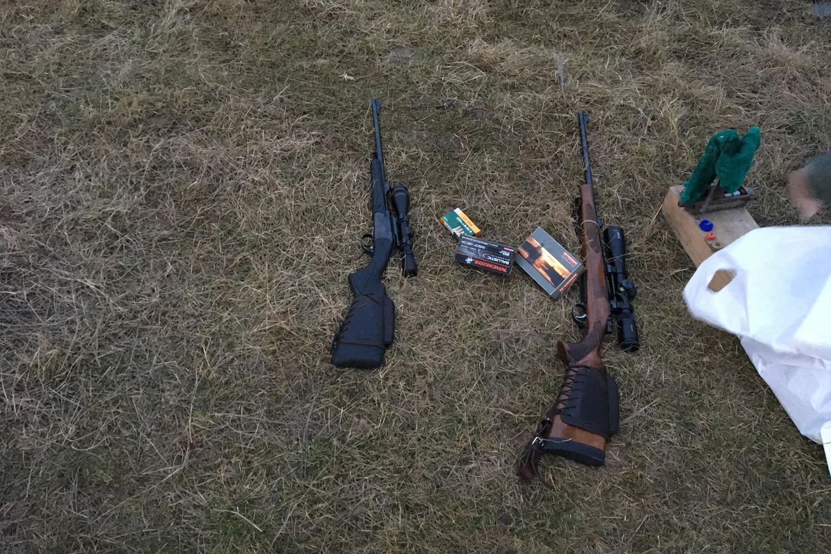 Acum! Au loc percheziţii la braconieri din Merişani! Sunt vizaţi doi bărbaţi