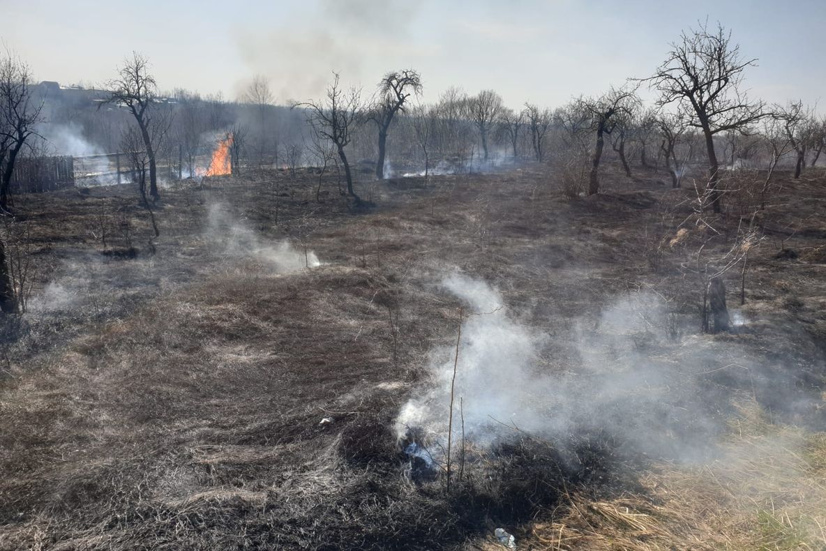 Peste 4 incendii pe zi, în Argeș, în ultimele 3 luni. 587 de hectare afectate