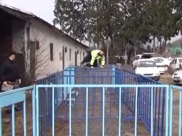 Video! Polițiștii argeșeni s-au întrecut de Ziua Poliției Române