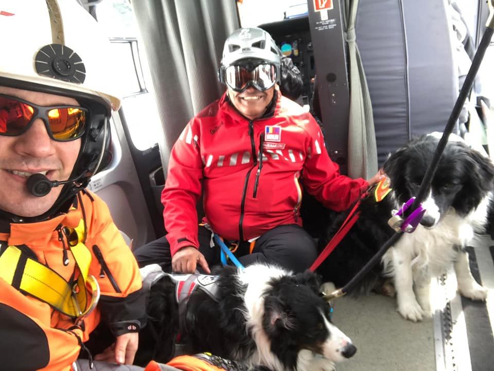 Antrenament cu elicopterul pentru unitățile canine de avalanșă