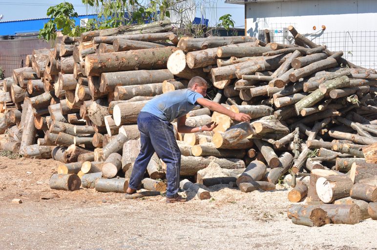 Păcăliţi pe internet! Infractorii ofereau lemne dar nu livrau nimic