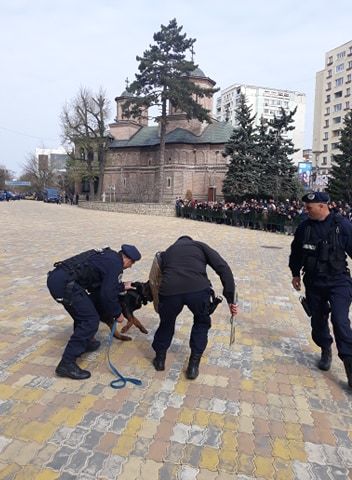 Ziua Jandarmeriei 2019! Paradă şi cântece patriotice, la IJJ Argeş