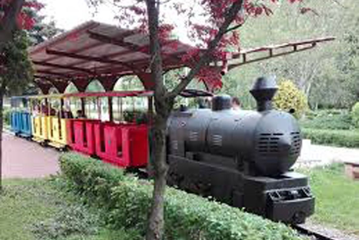 De Ziua Copilului plimbare gratuită cu trenuleţul, în Parcul Ştrand