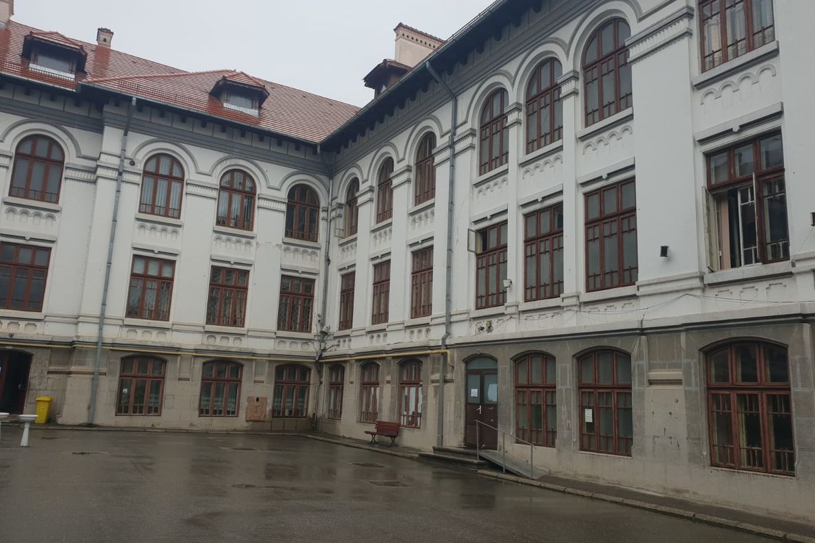 Alertă la Zinca Golescu după depistarea cazului de meningită. Elevii nu s-au prezentat la ore