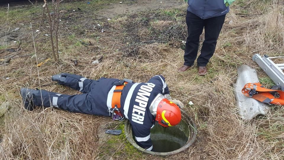 Câine salvat de pompieri, după ce a căzut într-un canal, la Mioveni