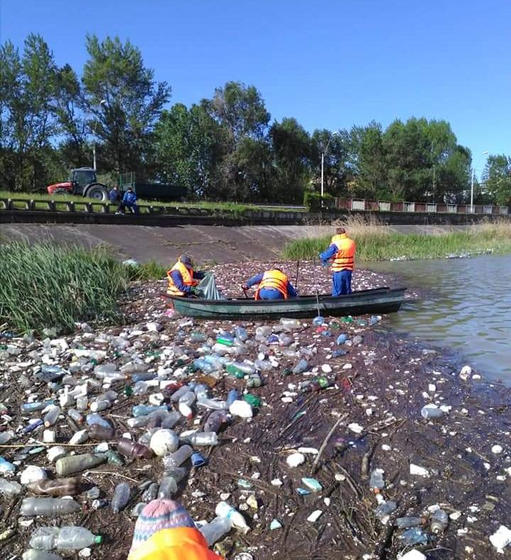 Viitura de gunoaie de la Micești! Peste 12 mc de deşeuri au fost colectate