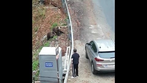 Video-Ursoaica și puii s-au întors la hotel, pe Transfăgărăşan