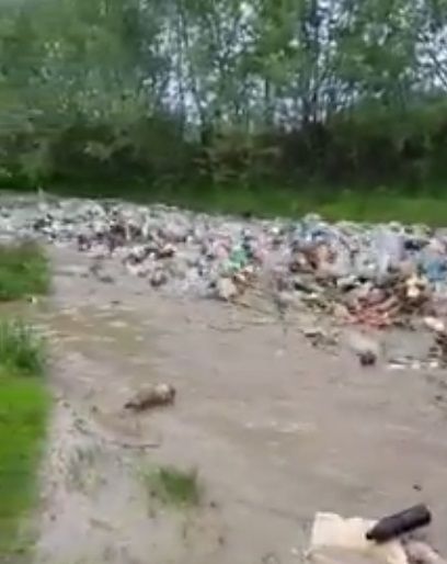 Video - Efectul aruncării gunoiului la „gârlă”! Tone de deșeuri, aduse de viitură