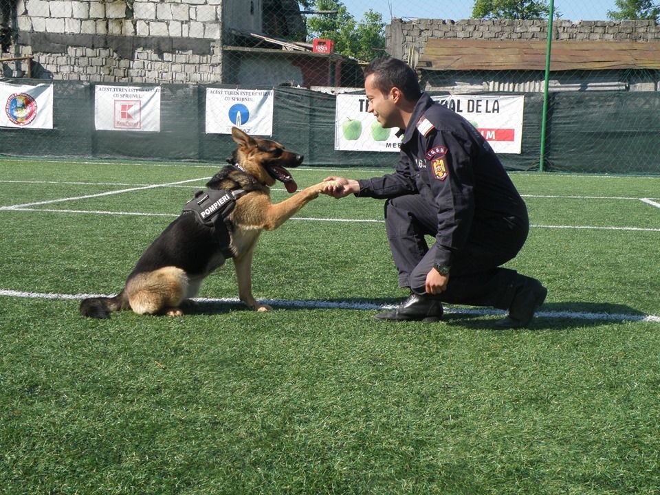 Câinele salvator al ISU Argeș a fost retras din serviciu