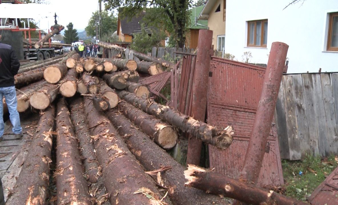 Camion cu lemne răsturnat în curte! A distrus totul în calea sa