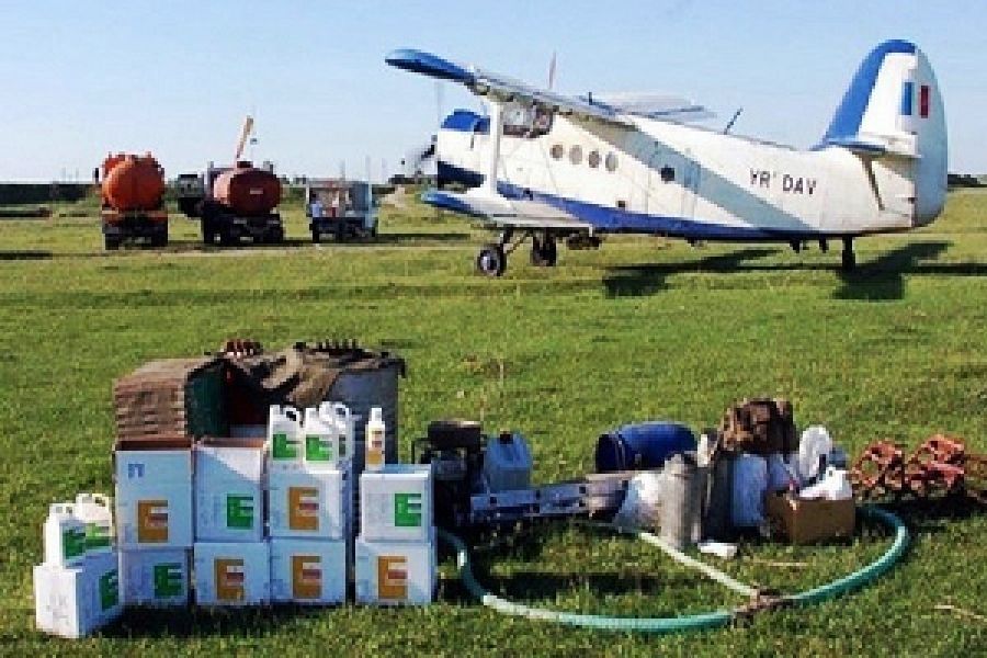 Stropiri împotriva insectelor în Piteşti, sâmbătă şi duminică