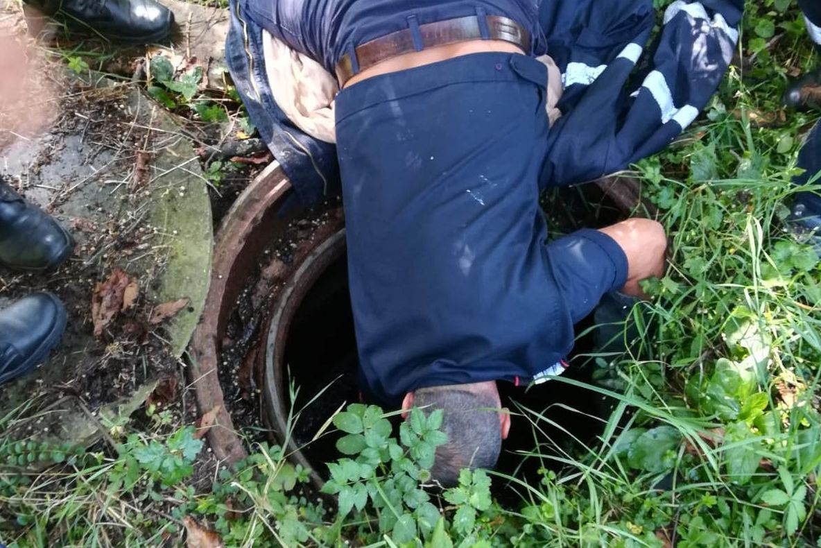 Câine salvat de pompieri, după ce a căzut într-un canal din curtea Mănăstirii Trivale