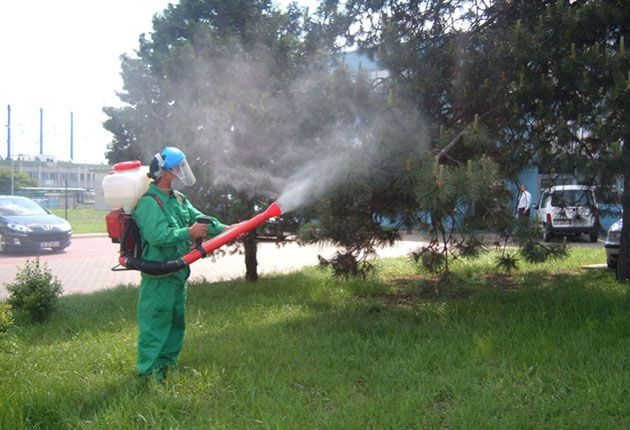 Miercuri, tratamente fitosanitare în spațiile verzi din Pitești!